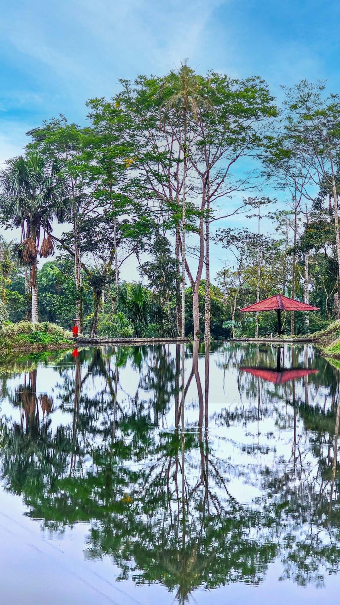 Hosteria Finca El Pigual Puyo Buitenkant foto